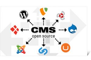 jasa pembuatan website dengan cms, jasa pembuatan web murah dan profesional